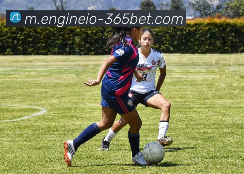 365betAPP 体育赛事宣传图